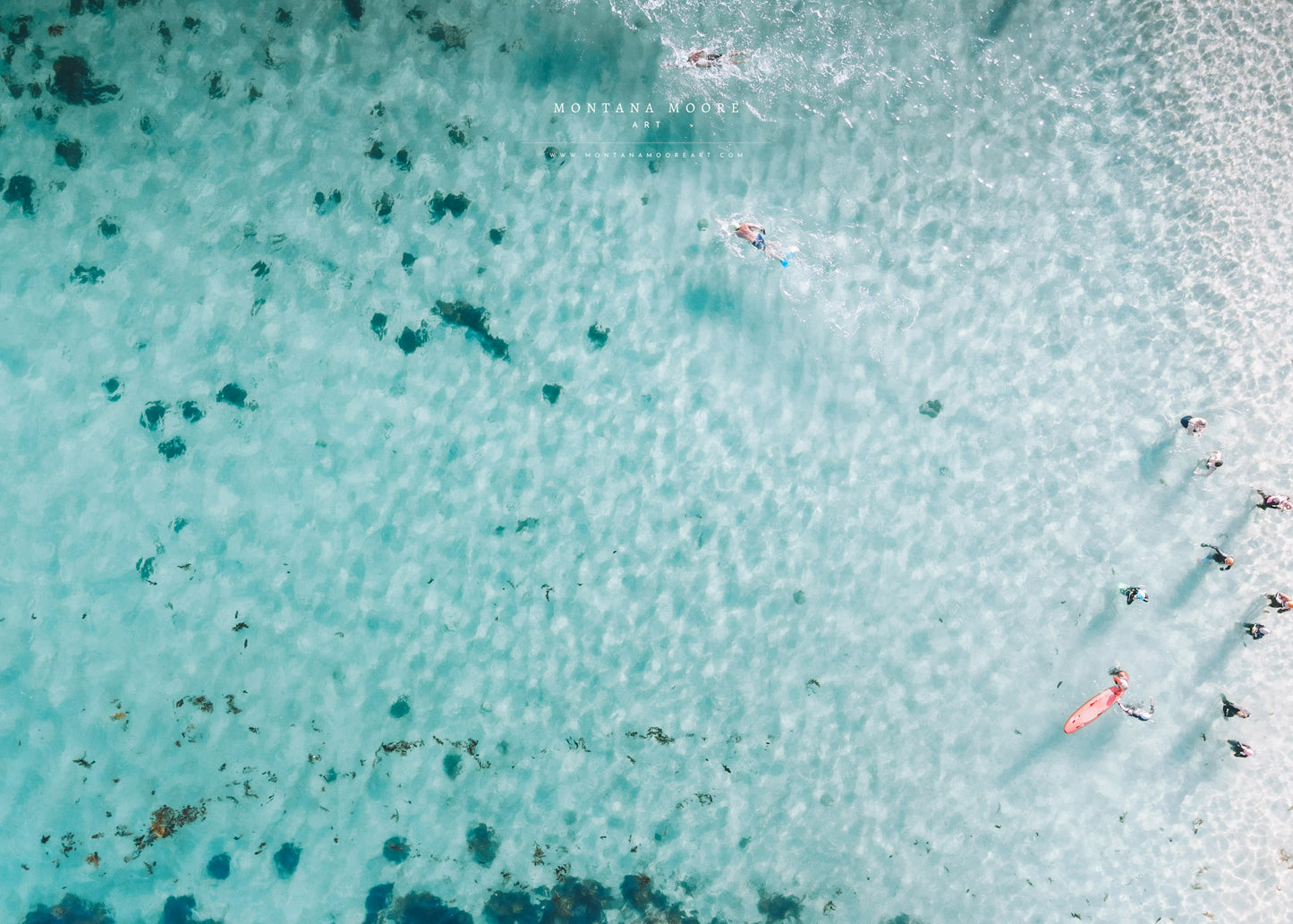 The Bold and Beautiful Swimmers III