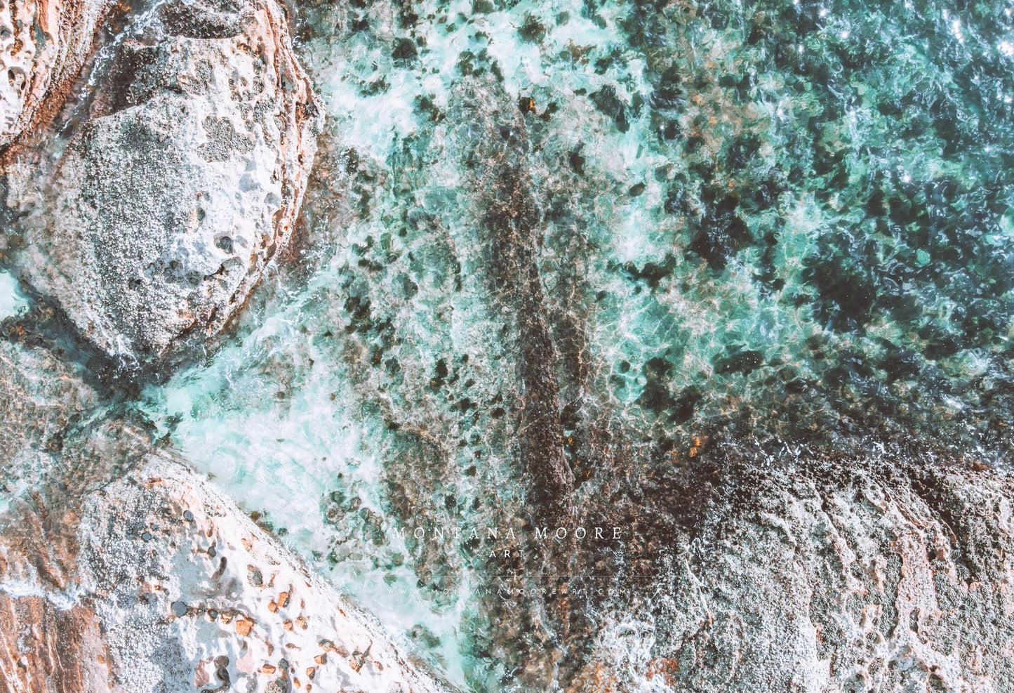 Manly Cove II