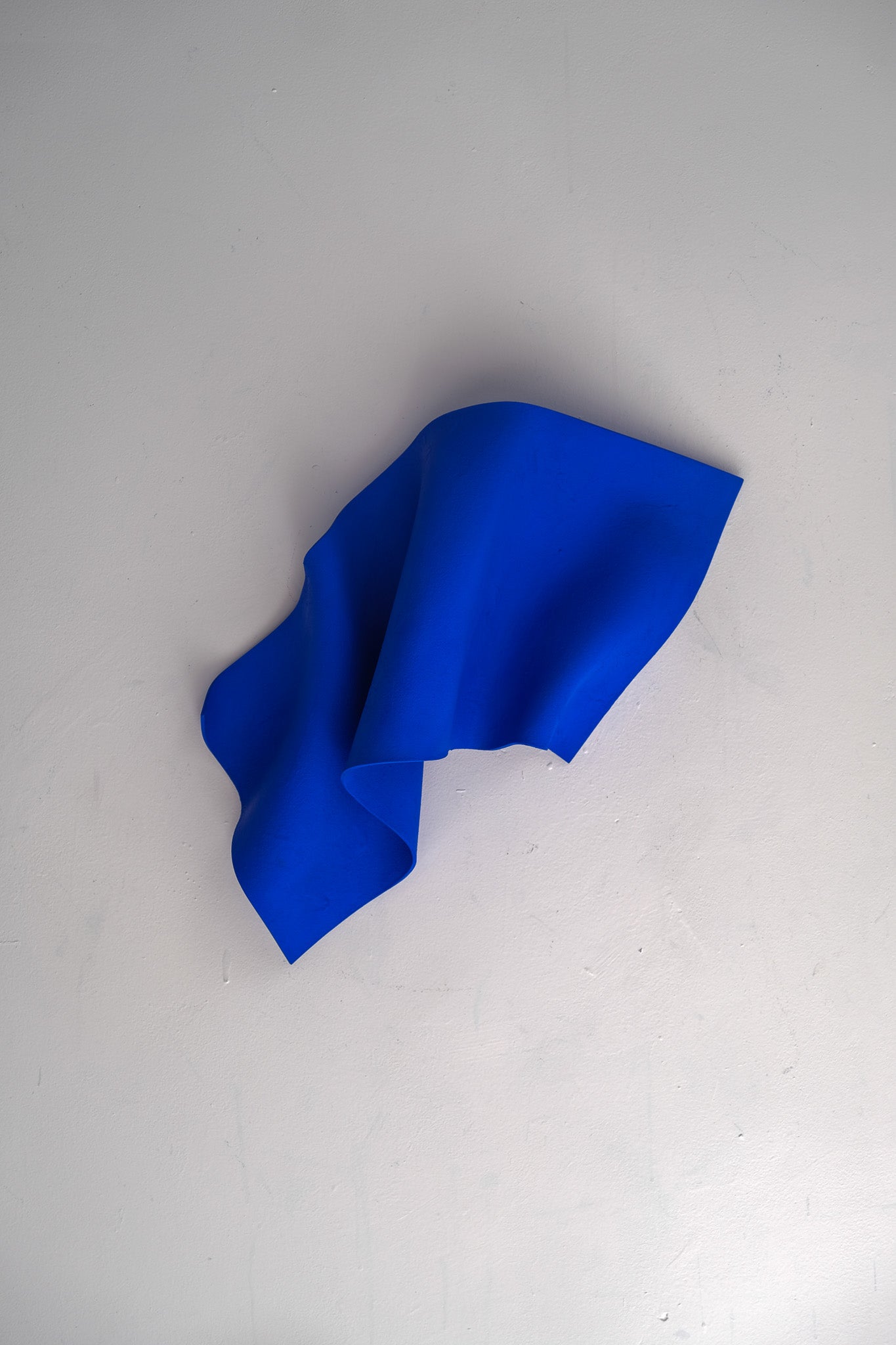 
                  
                    Focus (SOLD)
                  
                