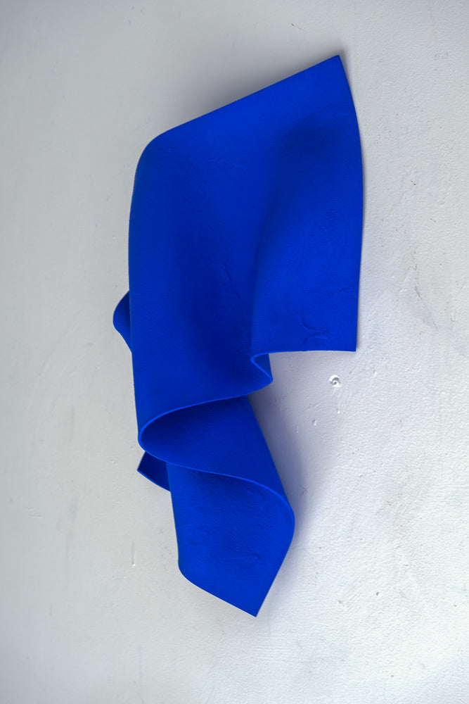 
                  
                    Focus (SOLD)
                  
                